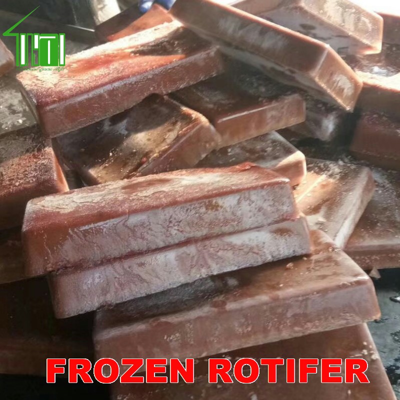 Frozen Rotifer