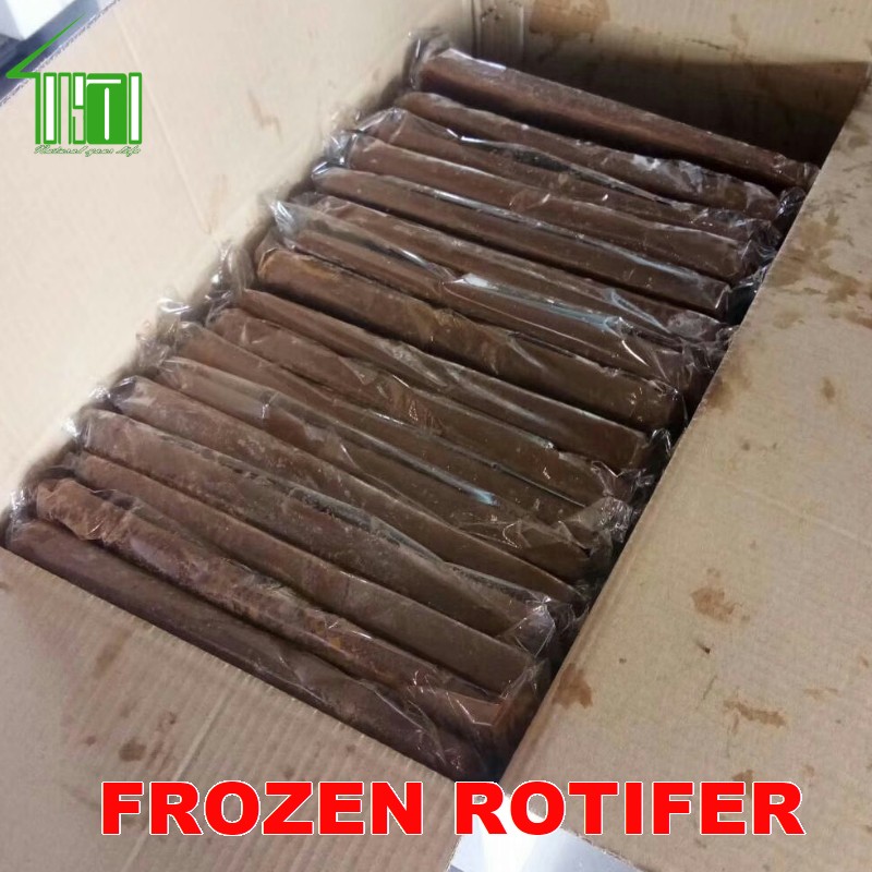 Frozen Rotifer