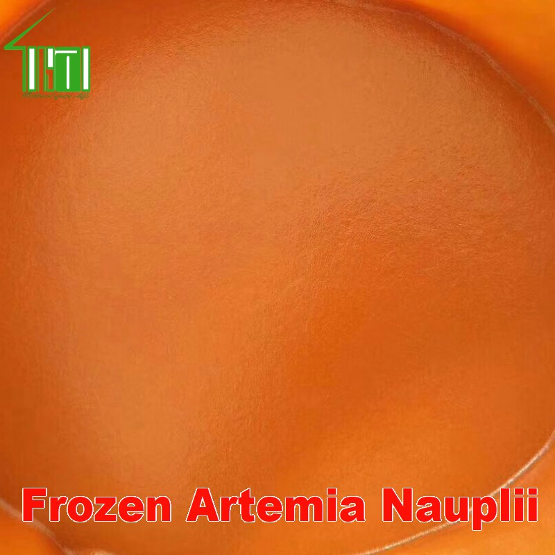 Frozen Artemia Nauplii
