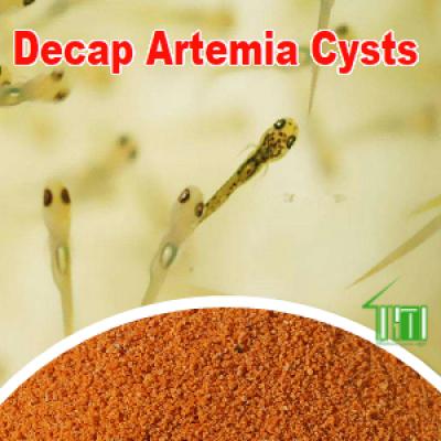 Decapsulated Artemia Cysts