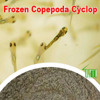 Frozen Copepoda Cyclop