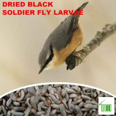 Microwave Dried Black Soldier Fly Larvae