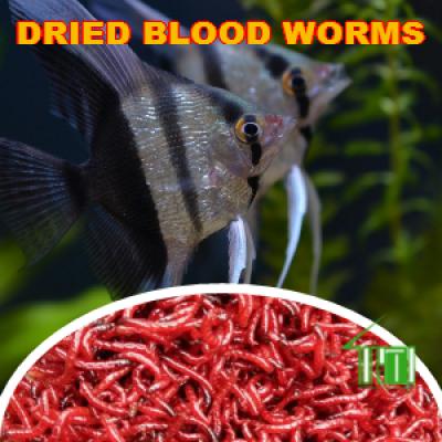 Dried Blood Worms