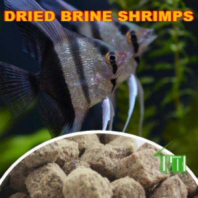 Dried Brine Shrimps Cube