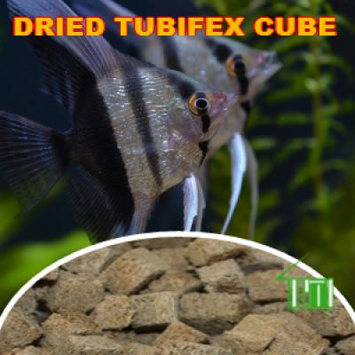 Dried Tubifex Cube