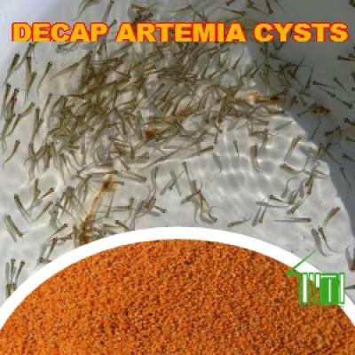 Decapsulated Artemia Cysts Fish Food