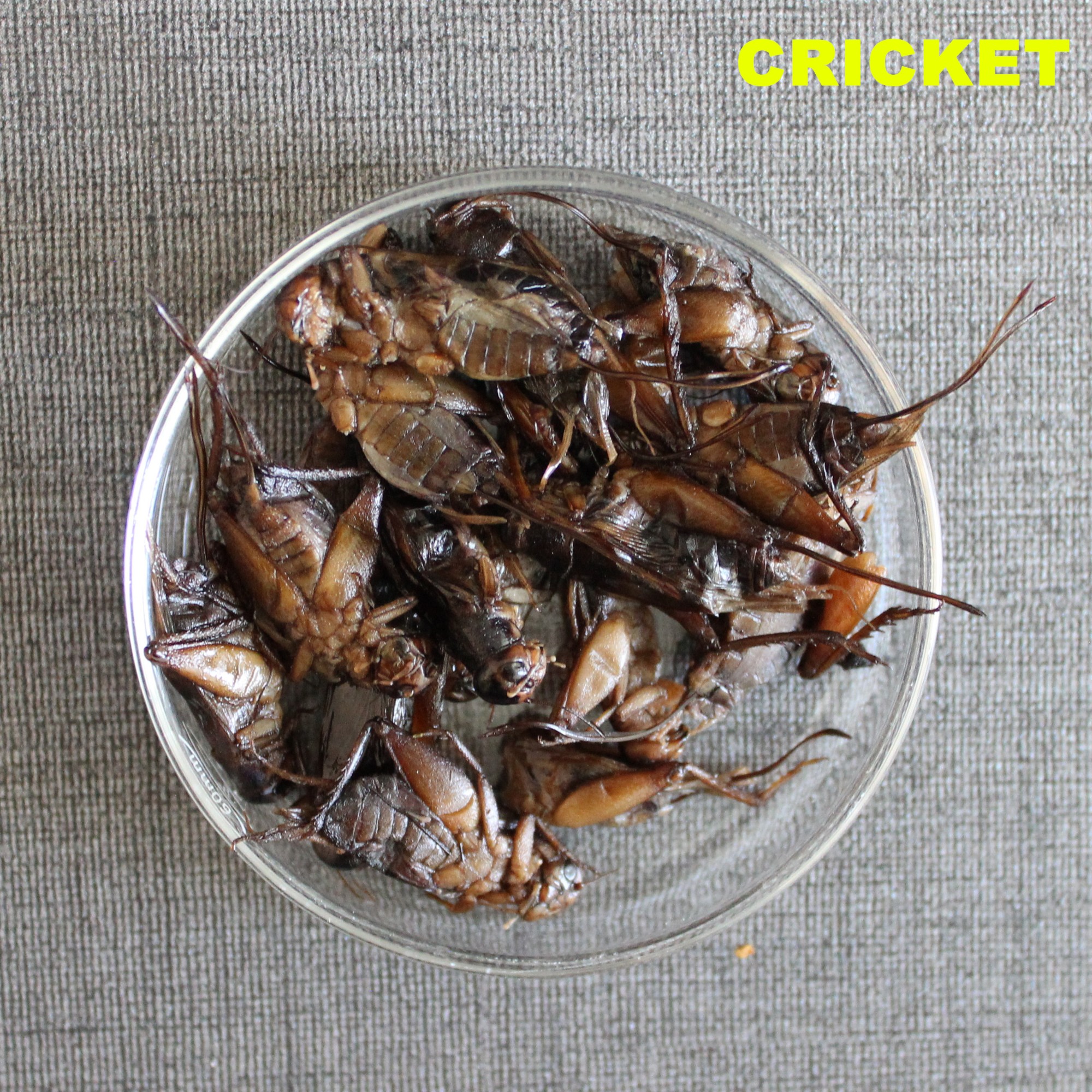 Fresh Preserved Insects and Invertebrates Reptile Fish Food Retort Pouch 