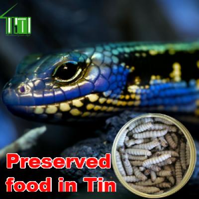 Canned Insects and Invertebrates Reptile Food Fish Food 