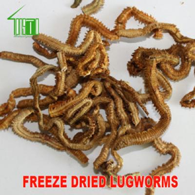 Freeze Dried Natural Baits Lugworms Sandworms Clamworms 