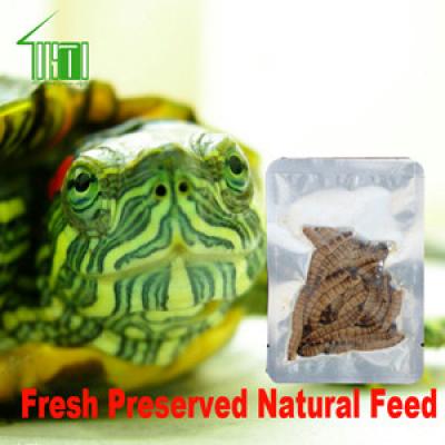 Fresh Preserved Insects and Invertebrates Reptile Fish Food Retort Pouch 